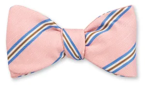 Pink Falcon Stripes Bow Tie - B5454